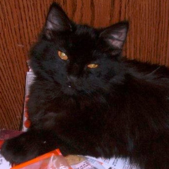 Hello everyone! I'm Kirin! - Picture 9 of 13